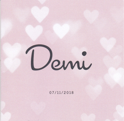 2018-11-07 Demi    …